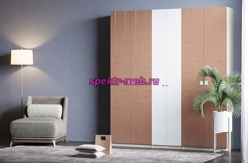 Распашной шкаф Агни М2