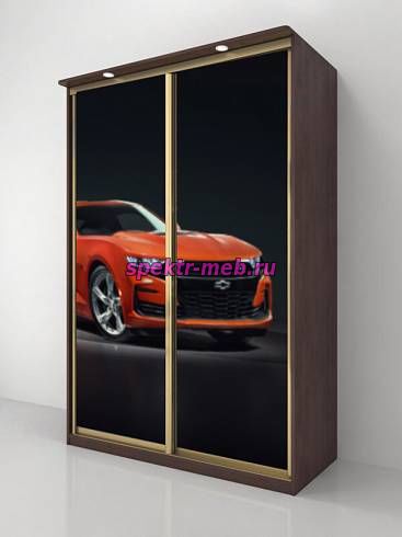 Шкаф-купе Ди Сопра 2205