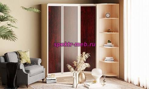 Шкаф-купе Виктория-1