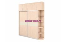 Шкаф-купе с антресолью Лайт 6