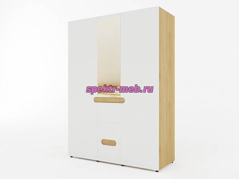 Шкаф Леонард 1.1