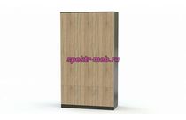 Распашной шкаф Ронда 1