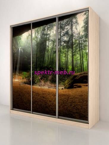 Шкаф-купе Тереза 340.81