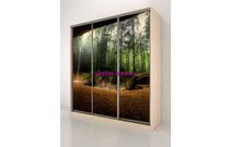 Шкаф-купе Тереза 340.81