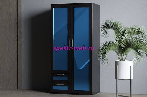 Шкаф распашной Блиц-2.2Я