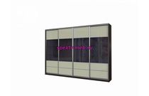 Шкаф-купе Тони 10.10