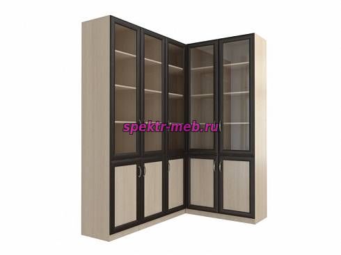 Угловой шкаф для книг Антенор 25