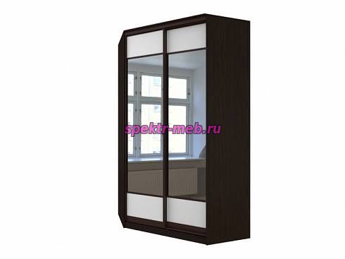 Шкаф-купе Гоктар 172