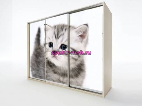 Шкаф-купе EL-10