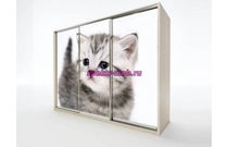 Шкаф-купе EL-10