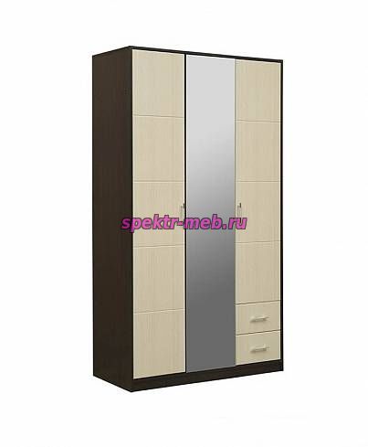 Шкаф Елена 3