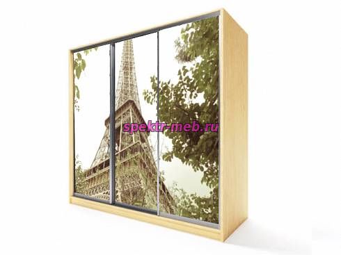 Шкаф-купе АМ-3