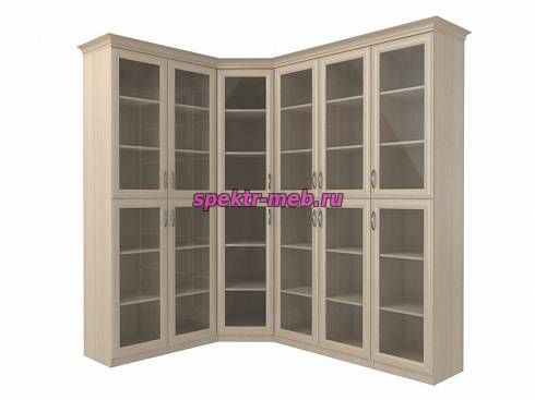 Угловой шкаф для книг Модуль 2.9