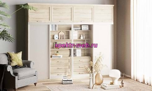 Шкаф-купе Нэмо 2