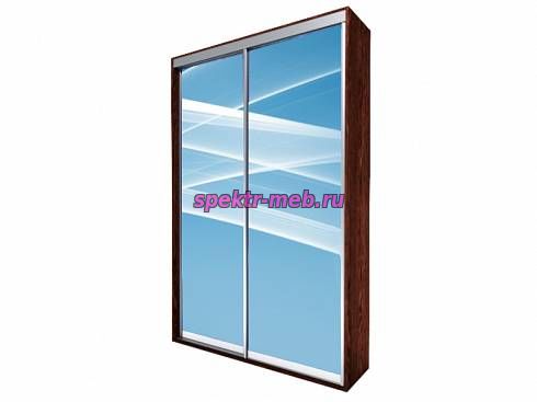 Шкаф-купе Мираж 1031