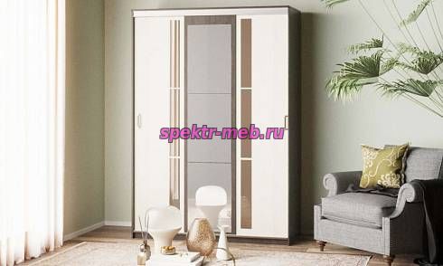 Шкаф-купе Европа - 15