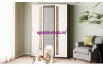 Шкаф-купе Европа - 15