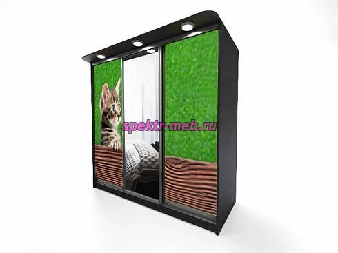 Шкаф-купе Ди Сопра 2331