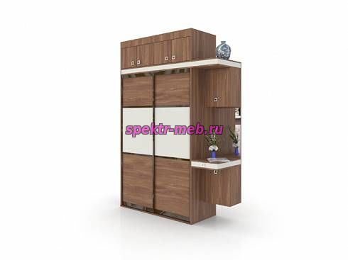 Шкаф-купе Шарм 13