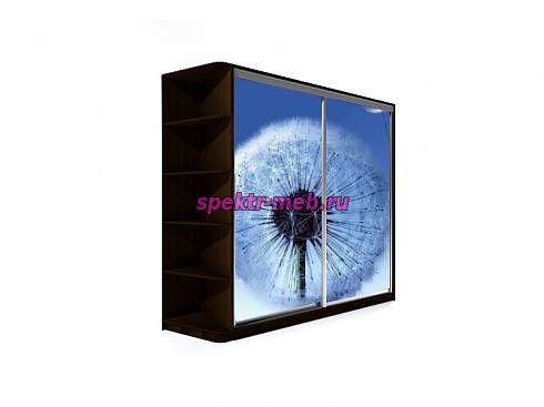 Шкаф-купе АМ-2