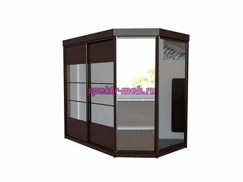 Шкаф-купе Молли 18