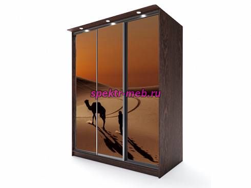 Шкаф-купе Легенда 9