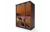 Шкаф-купе Легенда 9