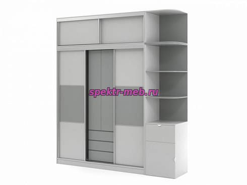 Шкаф-купе Терри 2