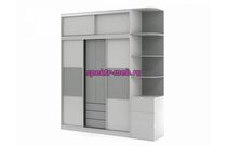 Шкаф-купе Терри 2