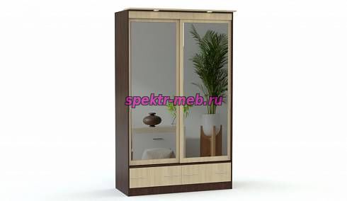 Шкаф-купе Светлана 1