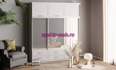 Шкаф-купе Нэмо 6