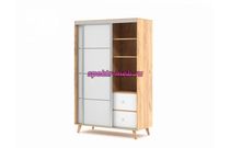 Шкаф-купе Сканд 1