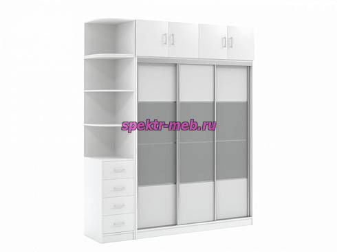 Шкаф-купе Дональд 5