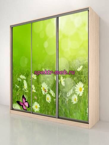 Шкаф-купе Тереза 340 Лес