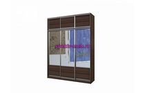 Шкаф-купе Рафаэль 6А