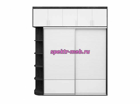 Шкаф-купе Элина 39