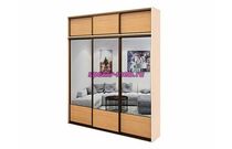 Шкаф-купе с антресолью Лайт 5