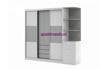 Шкаф-купе Терри 1