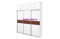 Шкаф-купе Элина 48