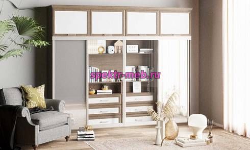 Шкаф-купе Нэмо 3