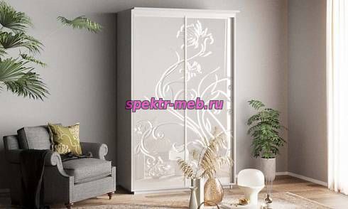 Шкаф-купе Кира 1