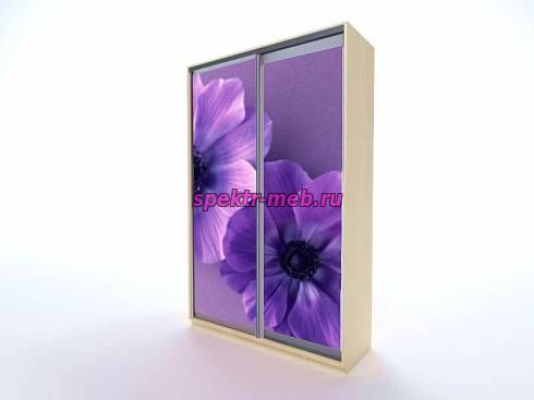 Шкаф-купе Тереза 240 Цветы 40