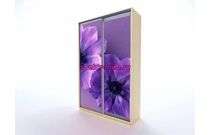 Шкаф-купе Тереза 240 Цветы 40