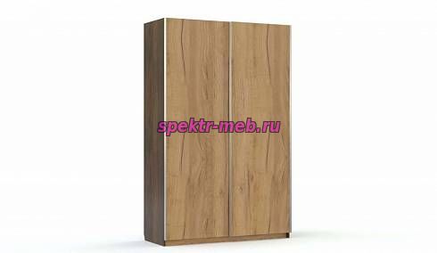 Шкаф-купе Джулия 2