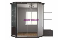 Шкаф-купе Винсент 4