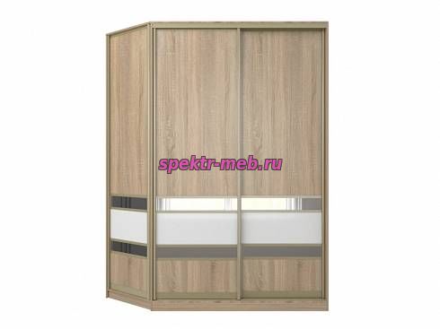 Шкаф-купе Вера 1