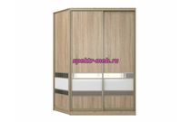 Шкаф-купе Вера 1