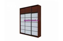 Шкаф-купе Эльма 4