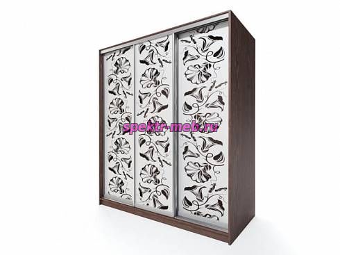 Шкаф-купе Флер 7