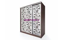 Шкаф-купе Флер 7